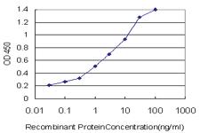 Anti-KDR Mouse Monoclonal Antibody [clone: 2C5]