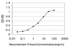 Anti-SNAPC5 Mouse Monoclonal Antibody [clone: 5E2]