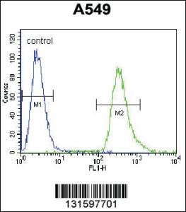 Anti-HSP90B1 Rabbit Polyclonal Antibody