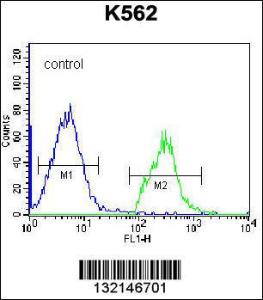 Anti-Histone H2B.c Rabbit Polyclonal Antibody (FITC (Fluorescein Isothiocyanate))