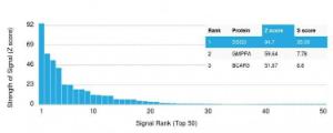 Analysis of protein array containing more than 19,000 full-length human proteins using Anti-Desmoglein 3 Antibody [DSG3/2837] Z-Score and S- Score