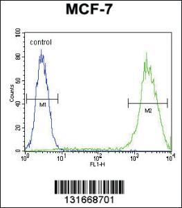 Anti-LGALS3 Rabbit Polyclonal Antibody