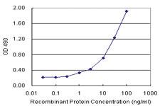 Anti-MDM4 Polyclonal Antibody Pair