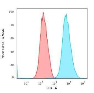 Flow cytometric analysis of trypsinised methanol fixed HeLa cells using Anti-Cytokeratin 18 Antibody [DE-K18] followed by Goat Anti-Mouse IgG (CF&#174; 488) (Blue). Isotype Control (Red)