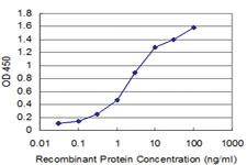 Anti-BOLL Mouse Monoclonal Antibody [clone: 1G8]