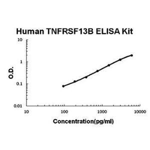 Human TNFRSF13B ELISA kit