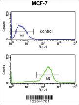 Anti-NIP7 Rabbit Polyclonal Antibody