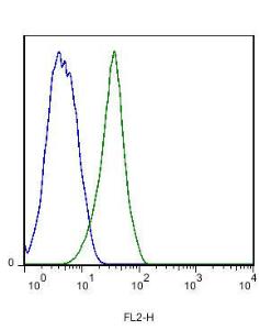 Anti-STAB2 Rabbit Polyclonal Antibody