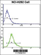 Anti-EXOC6B Rabbit Polyclonal Antibody