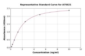 Representative standard curve for Mouse MMP12 ELISA kit (A75621)