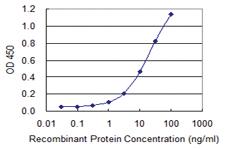 Anti-USO1 Mouse Monoclonal Antibody [clone: 3F4]