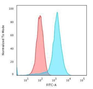 Flow cytometric analysis of PFA fixed K562 cells using Anti-CD43 Antibody [rSPN/839] followed by Goat Anti-Mouse IgG (CFand#174; 488) (Blue). Isotype Control (Red)