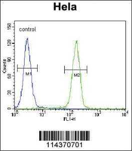 Anti-CF153 Rabbit Polyclonal Antibody