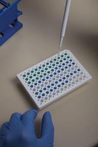 Luminaris color HiGreen qPCR master mix