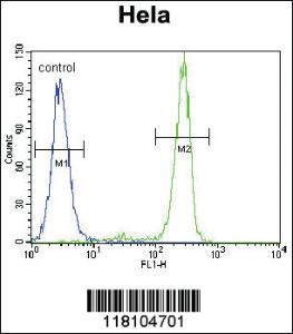 Anti-CCDC9 Rabbit Polyclonal Antibody