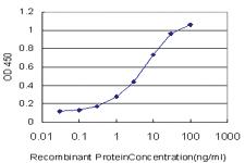 Anti-BOLL Mouse Monoclonal Antibody [clone: 5B8]