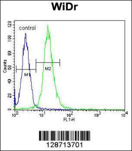 Anti-WDR5B Rabbit Polyclonal Antibody (AP (Alkaline Phosphatase))