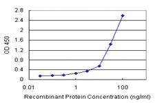 Anti-STAM2 Polyclonal Antibody Pair