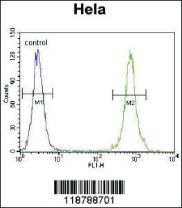 Anti-TRADD Rabbit Polyclonal Antibody