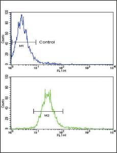 Anti-NRG1 Rabbit Polyclonal Antibody (APC (Allophycocyanin))