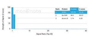 Analysis of protein array containing more than 19,000 full-length human proteins using Anti-SPARC Antibody [OSTN/3759] Z-Score and S- Score