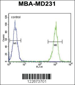 Anti-GPR137 Rabbit Polyclonal Antibody