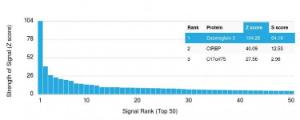 Analysis of protein array containing more than 19,000 full-length human proteins using Anti-Desmoglein 3 Antibody [DSG3/2839] Z-Score and S- Score