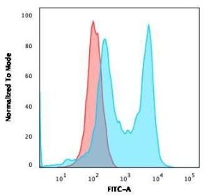 Flow cytometric analysis of MOLT4 cells using Anti-CD6 Antibody [C6/2884R] followed by Goat Anti-Rabbit IgG (CF&#174; 488) (Blue) Isotype Control (Red)