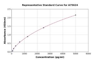 Representative standard curve for Human ECM ELISA kit (A75624)