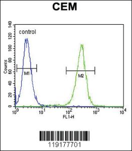 Anti-MSI1 Rabbit Polyclonal Antibody