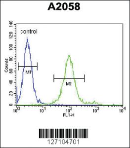 Anti-GOT1A Rabbit Polyclonal Antibody