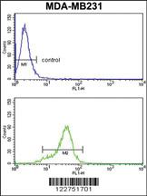 Anti-AGPAT4 Rabbit Polyclonal Antibody