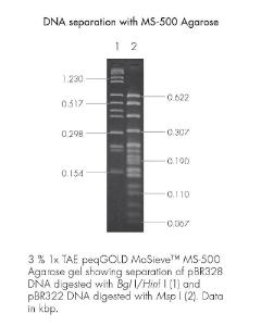 Agarose, peqGOLD MoSieve™ Agarose