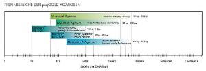 Agarose, peqGOLD MoSieve™ Agarose