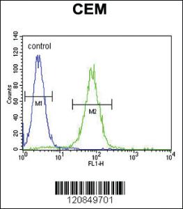 Anti-FOLH1B Rabbit Polyclonal Antibody