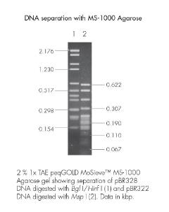 Agarose, peqGOLD MoSieve™ Agarose