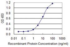 Anti-SULT1A3 Mouse Monoclonal Antibody [clone: 1F3]