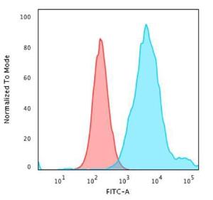 Flow cytometric analysis of PFA fixed HeLa cells using Anti-Cytokeratin 18 Antibody [KRT18/2819R] followed by Goat Anti-Rabbit IgG (CF and #174; 488) (Blue). Isotype Control (Red)