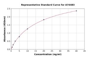 Representative standard curve for Monkey MMP2 ELISA kit (A74483)