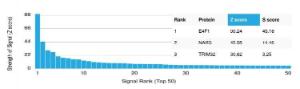 Analysis of protein array containing more than 19,000 full-length human proteins using Anti-E4F1 Antibody [PCRP-E4F1-2D1] Z-Score and S- Score