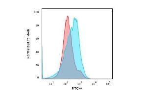 Flow cytometric analysis of paraformaldehyde fixed HepG2 cells using Anti-SUMO-2 + SUMO-3 Antibody [SM23/496] followed by Goat Anti-Mouse IgG (CFand#174; 488) (Blue). Isotype Control (Red)