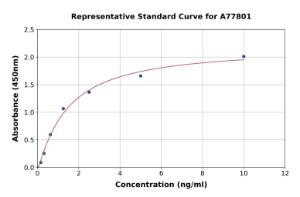 Representative standard curve for Rat Caspase-8 ELISA kit (A77801)