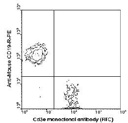 Anti-CD3E Hamster Monoclonal Antibody (FITC (Fluorescein isothiocyanate)) [clone: 145-2C11]