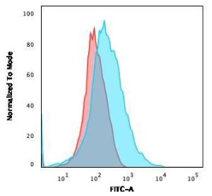 Flow cytometric analysis of Jurkat cells using Anti-CD28 Antibody [C28/75] followed by Goat Anti-Mouse IgG (CF&#174; 488) (Blue). Isotype Control (Red).