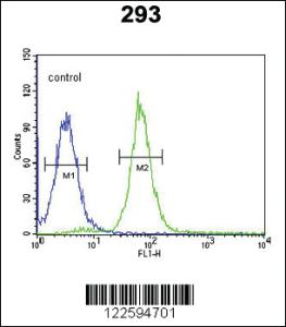 Anti-PHYH Rabbit Polyclonal Antibody