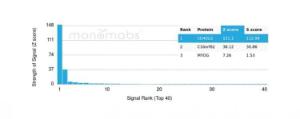 Analysis of protein array containing more than 19000 full-length human proteins using Anti-CD40L Antibody [CD40LG/4675]