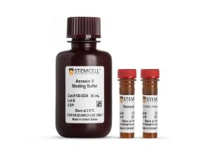 Annexin V Apoptosis Detection kit with 7-AAD, PE