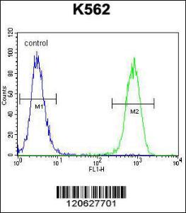 Anti-ISWI Rabbit Polyclonal Antibody (AP (Alkaline Phosphatase))