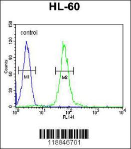 Anti-ABCD1 Rabbit Polyclonal Antibody (PE (Phycoerythrin))