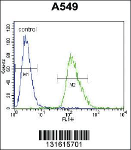 Anti-ARRB1 Rabbit Polyclonal Antibody